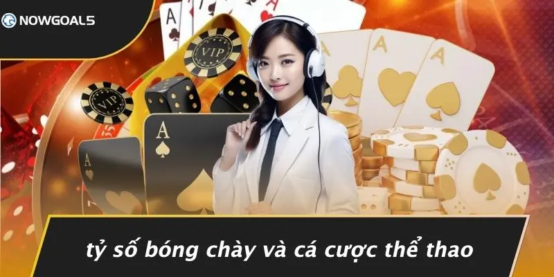Tỷ Số Bóng Chày Và Cá Cược Thể Thao