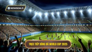 Trực tiếp bóng đá World Cup 2025