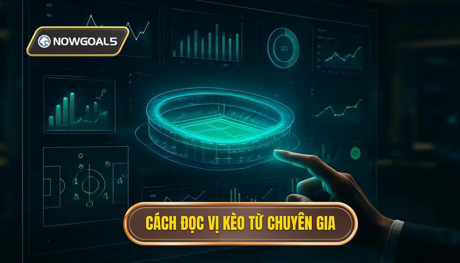 3. Cách đọc vị kèo từ chuyên gia