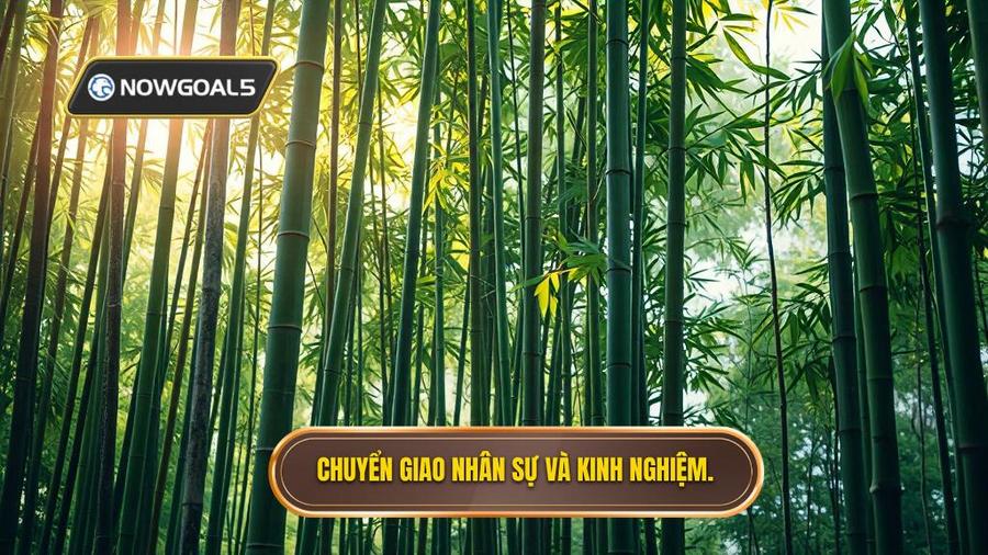 1. Chuyển giao nhân sự và kinh nghiệm.